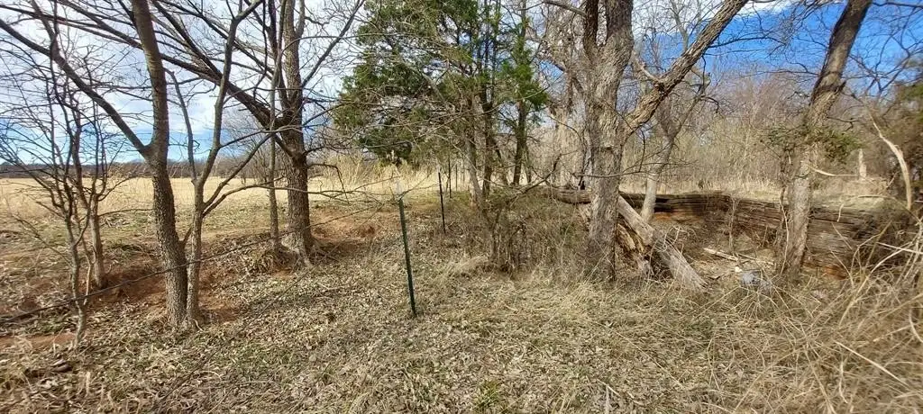 Picture 4