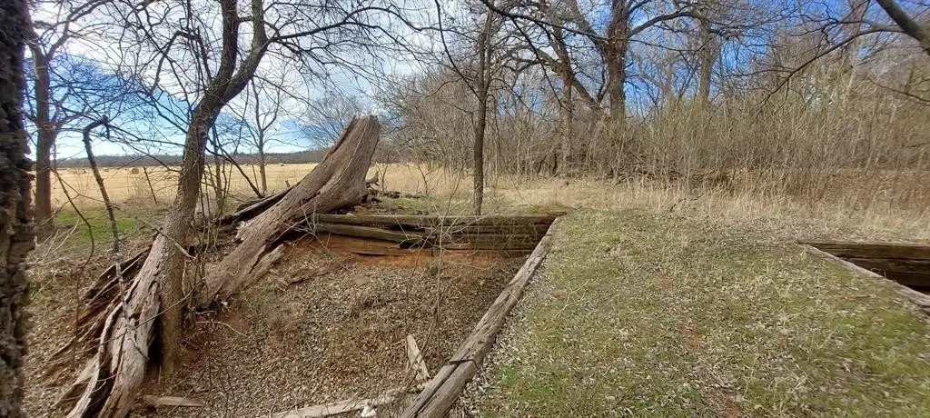 Picture 2