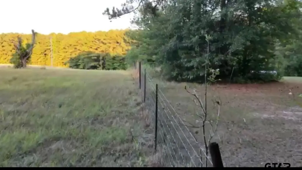 Picture 2