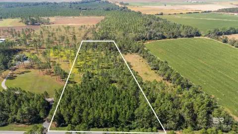 Robertsdale Land on County Road