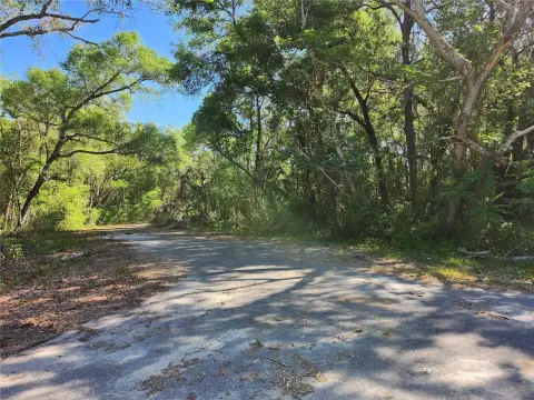 Residential Land in Ocklawaha, FL