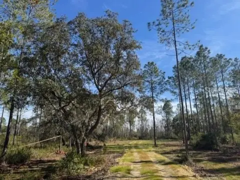 36 Acres Near Florida Greenway