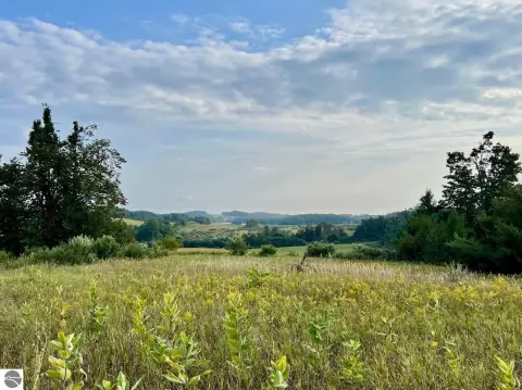 39 Acres in Antrim County