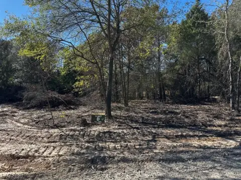 Van, TX Wooded Acreage Tract