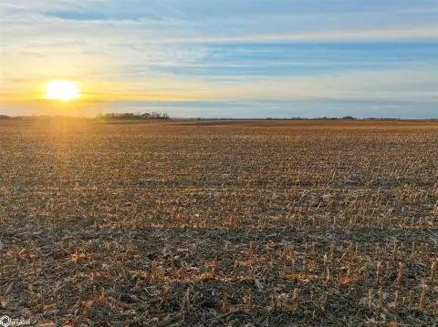 240 Acres of Farmland Auction