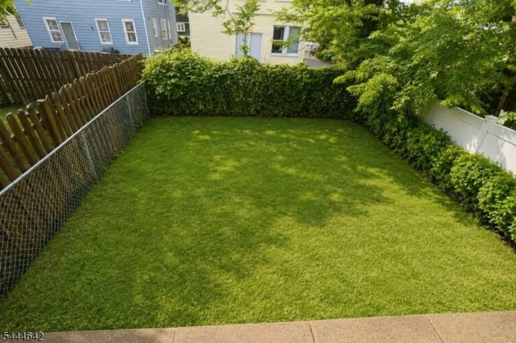 Picture 11