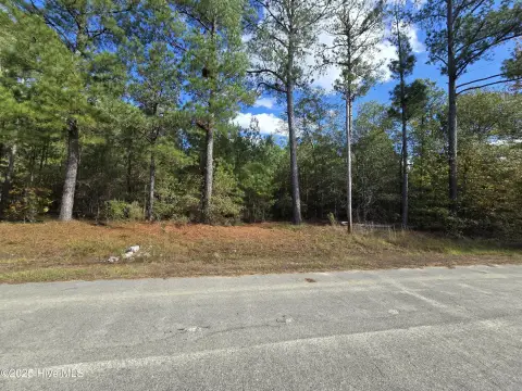 Residential Land in Rockingham, NC