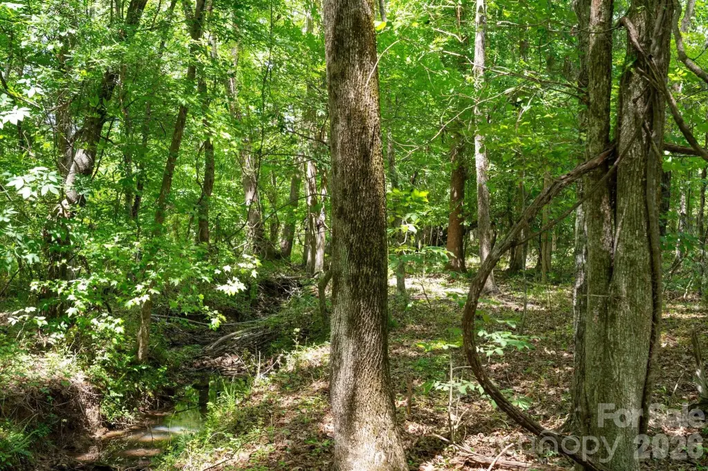 Picture 47
