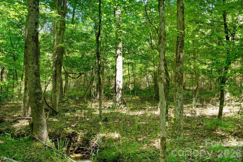 Picture 25