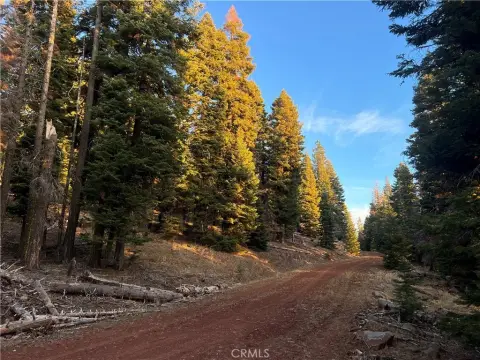 Land/Lot in Alturas, CA