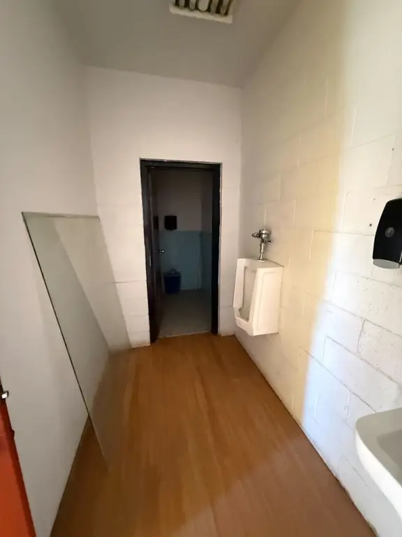 Picture 19