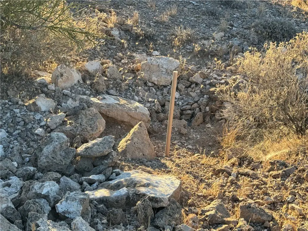 Picture 23