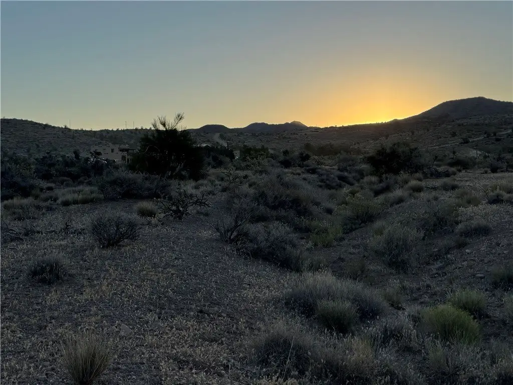 Picture 35