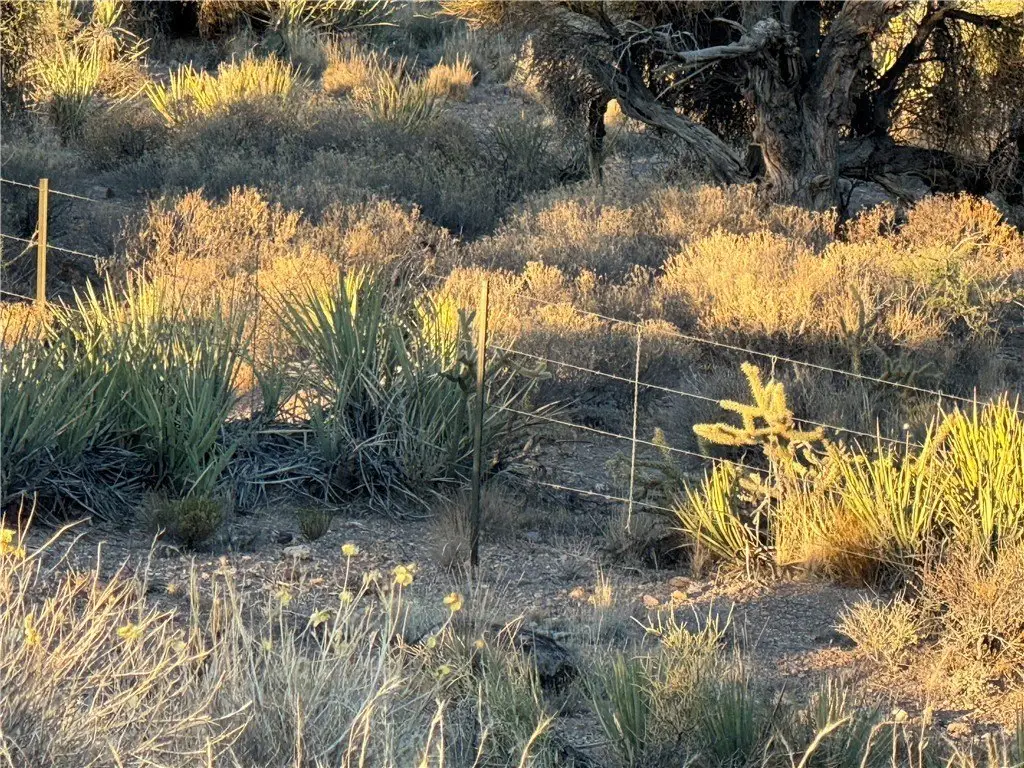 Picture 46