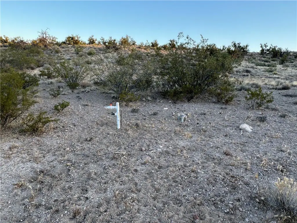 Picture 21
