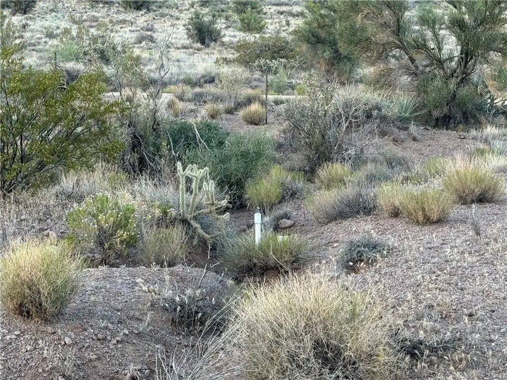 Picture 22