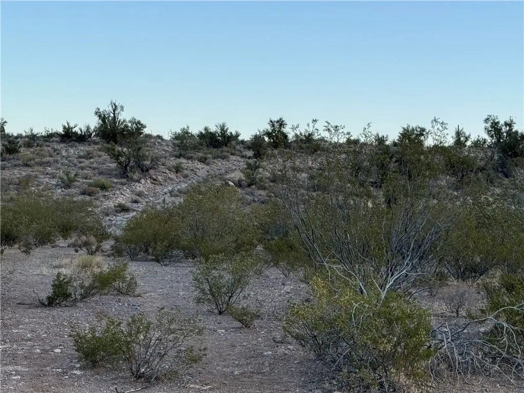 Picture 31