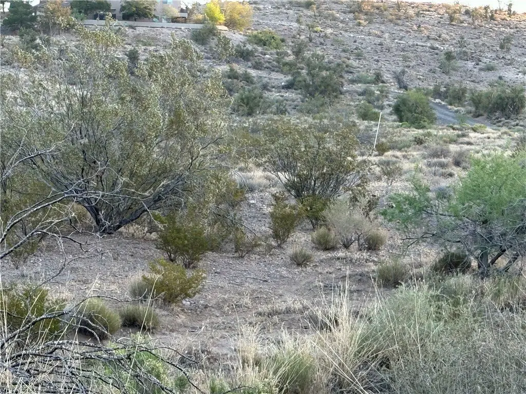 Picture 37