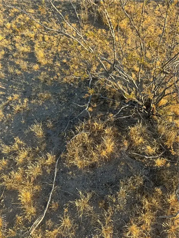 Picture 15