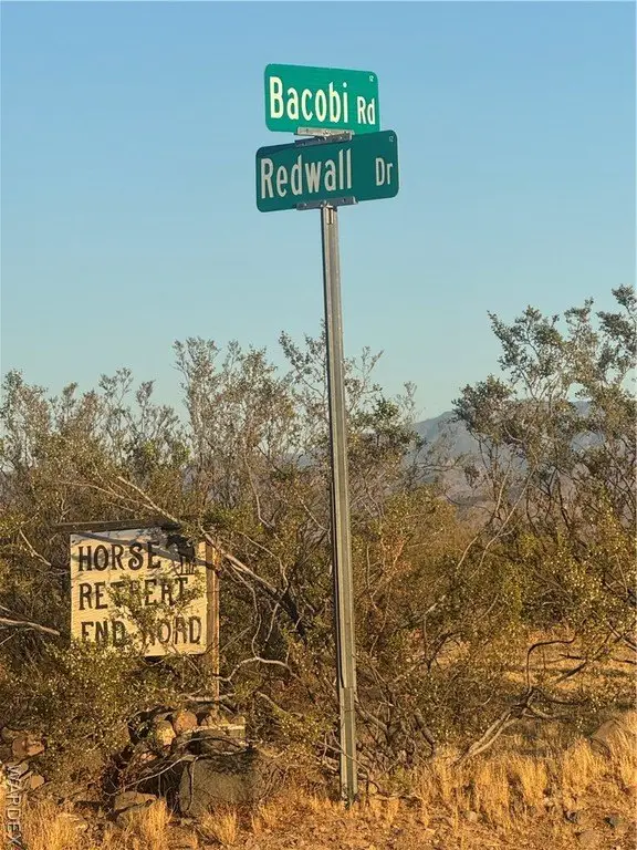 Picture 21