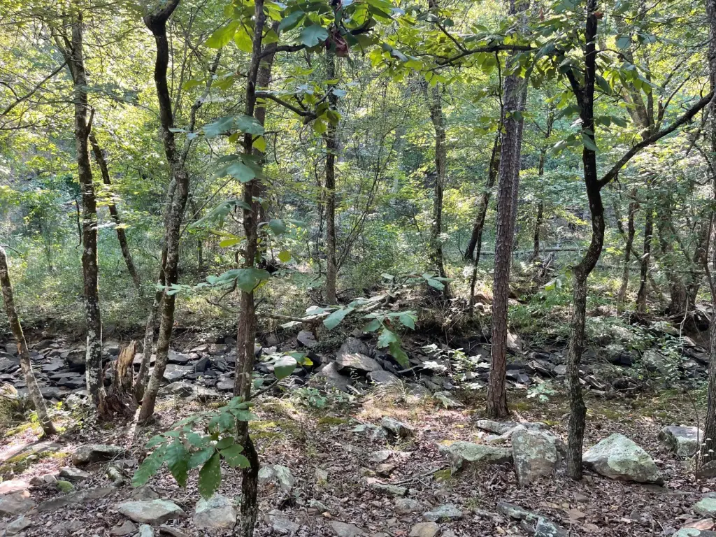 Picture 20