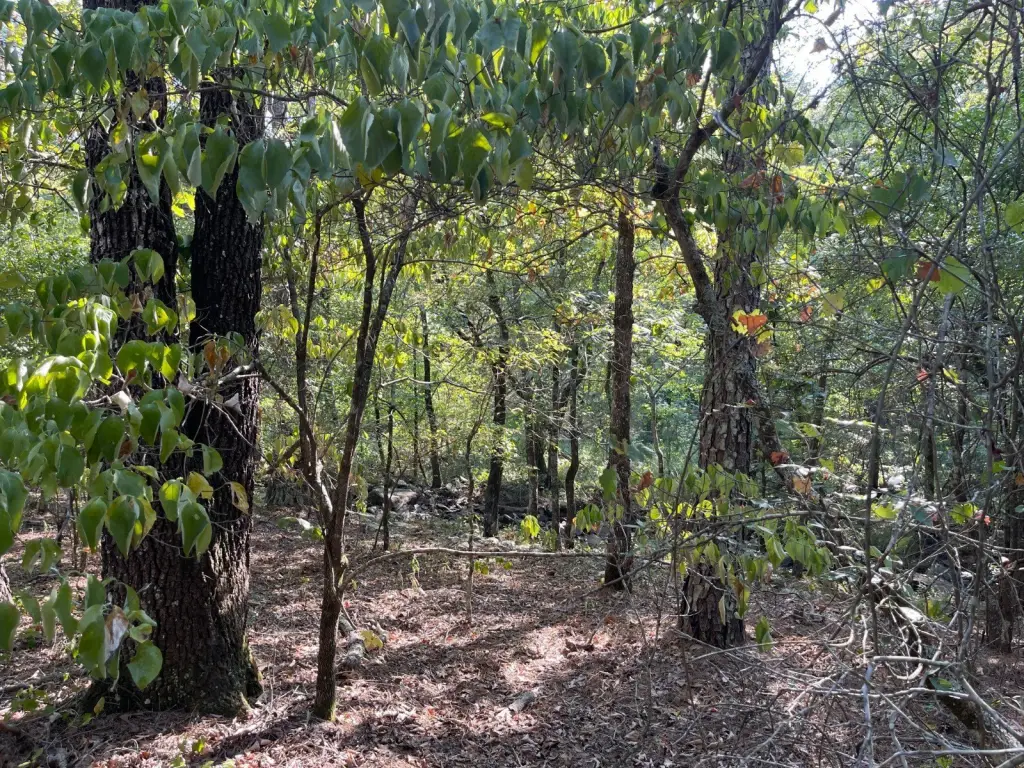 Picture 23