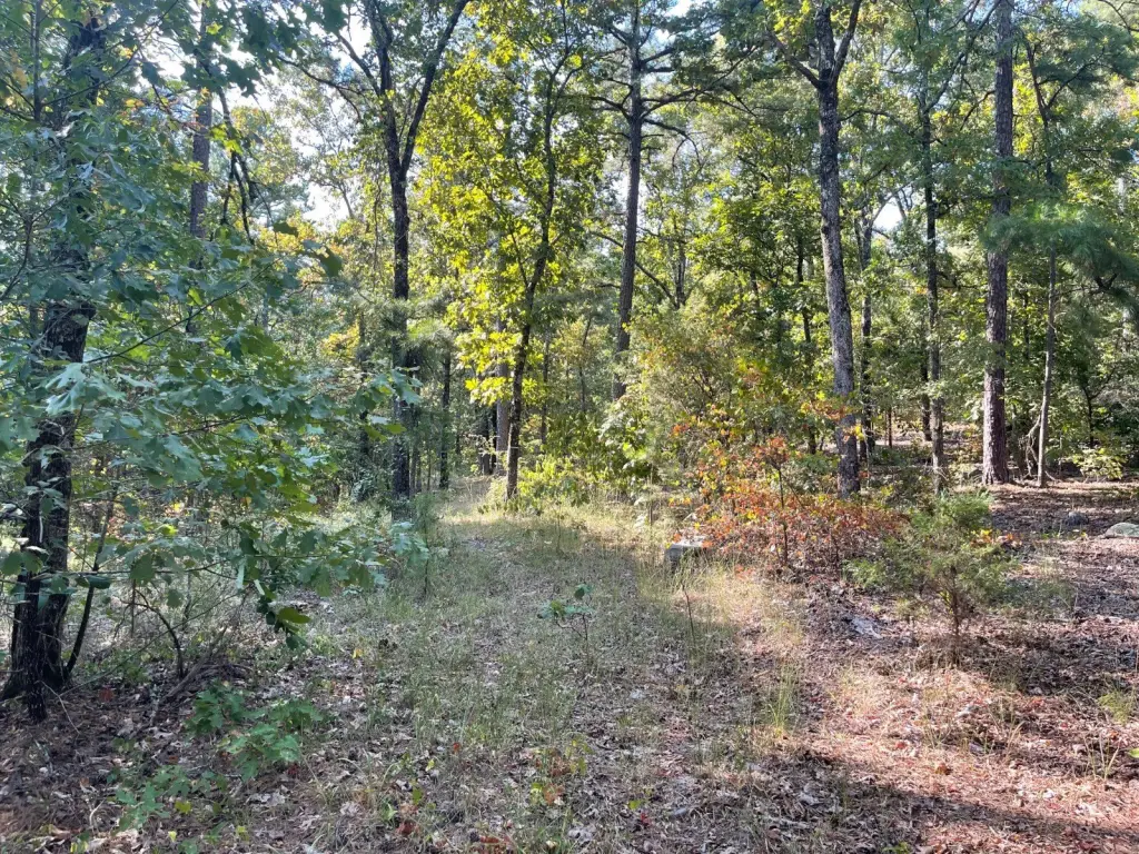 Picture 41