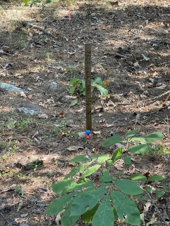 Picture 12