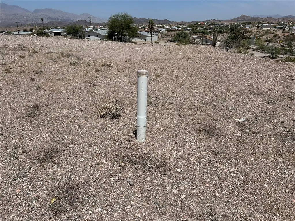 Picture 6