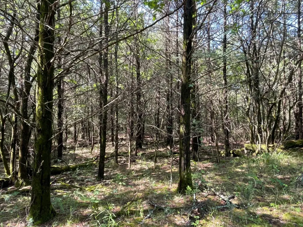 Picture 19