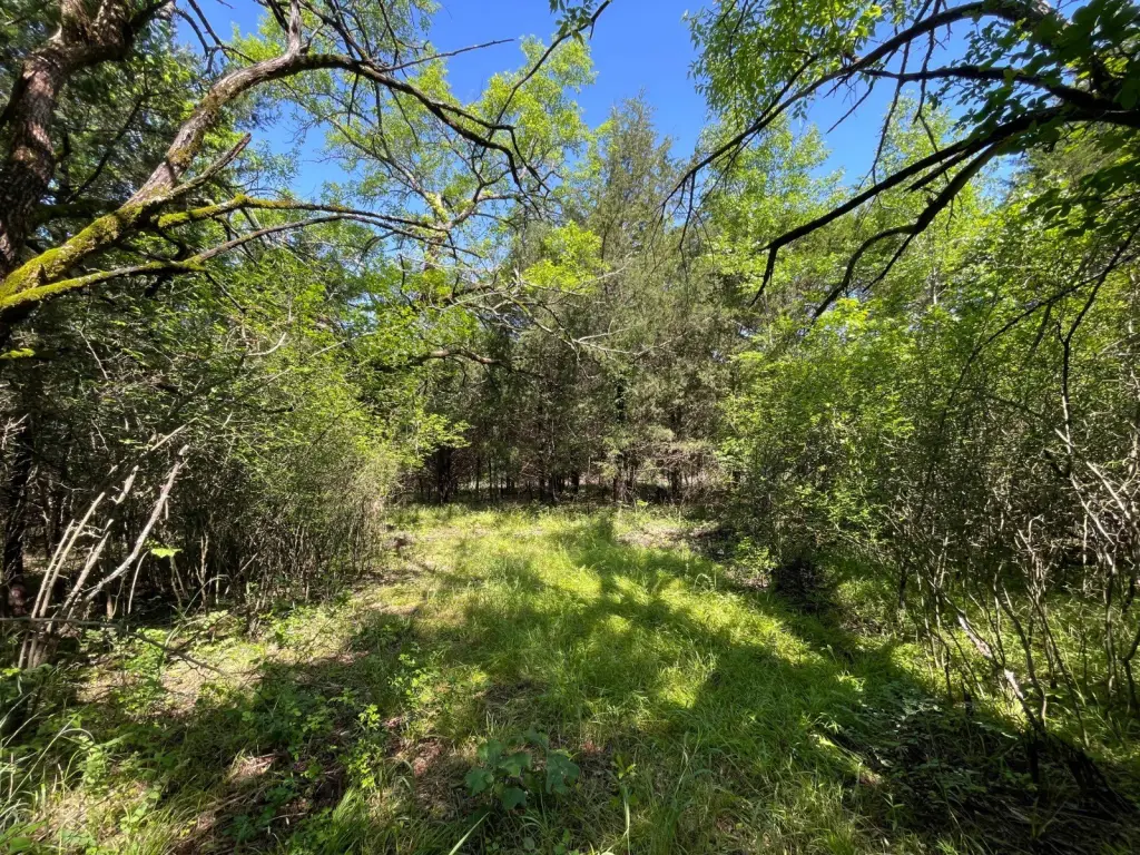 Picture 43