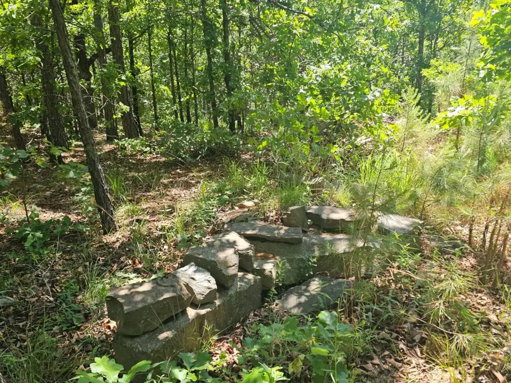 Picture 5