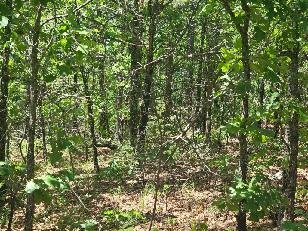 Picture 12