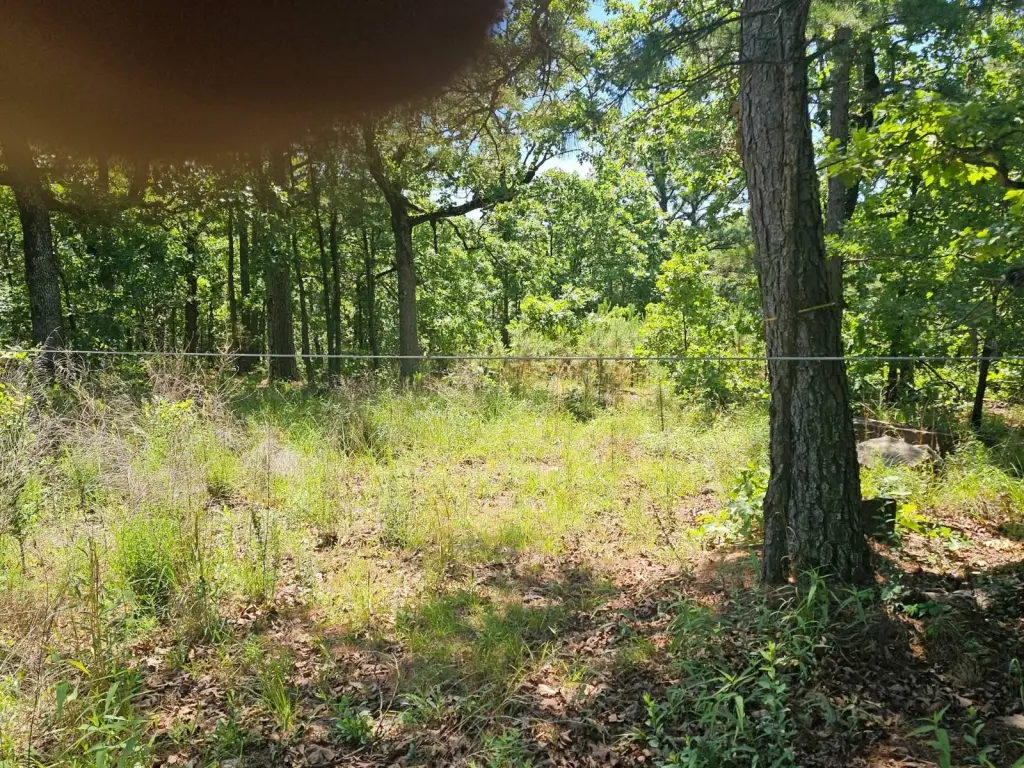 Picture 8
