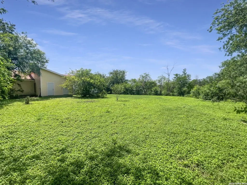 Picture 31