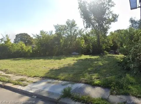 Detroit Vacant Commercial Land