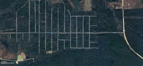 Boiling Spring Lakes Land Investment