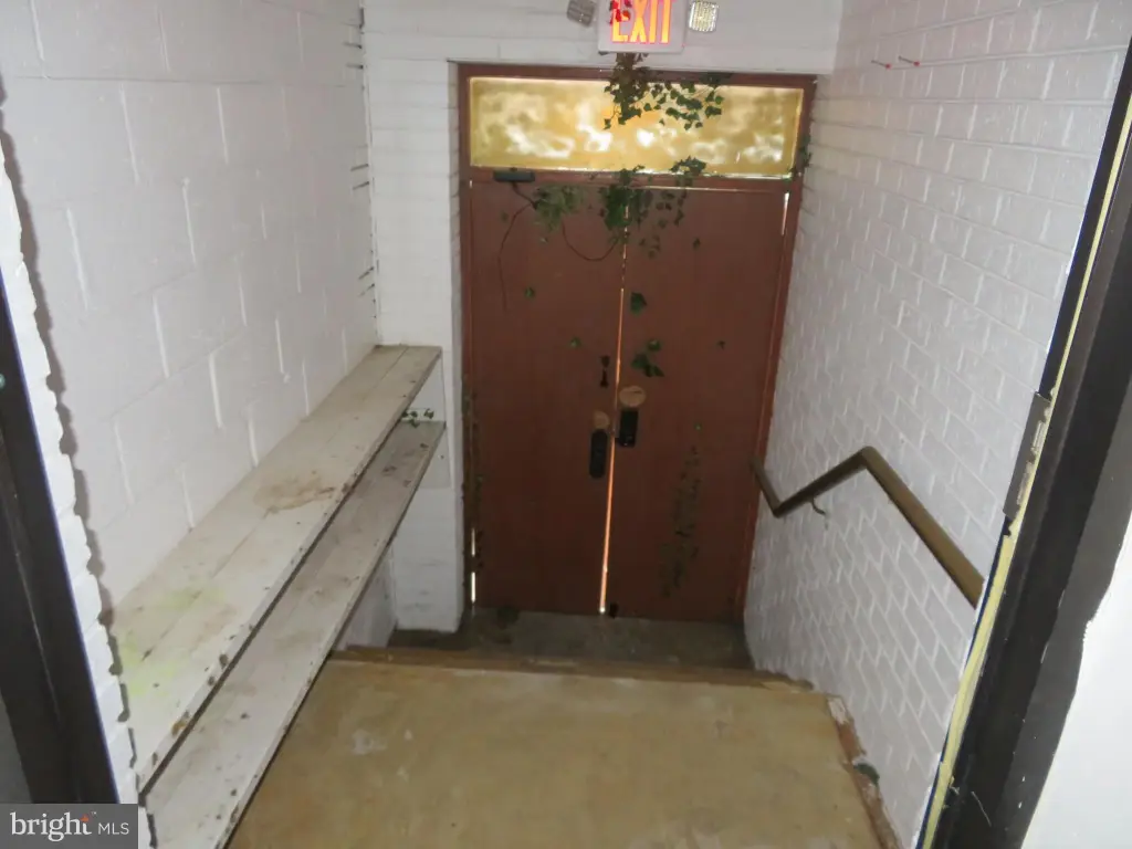 Picture 39