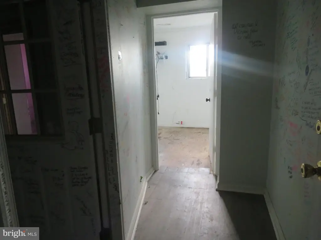 Picture 41