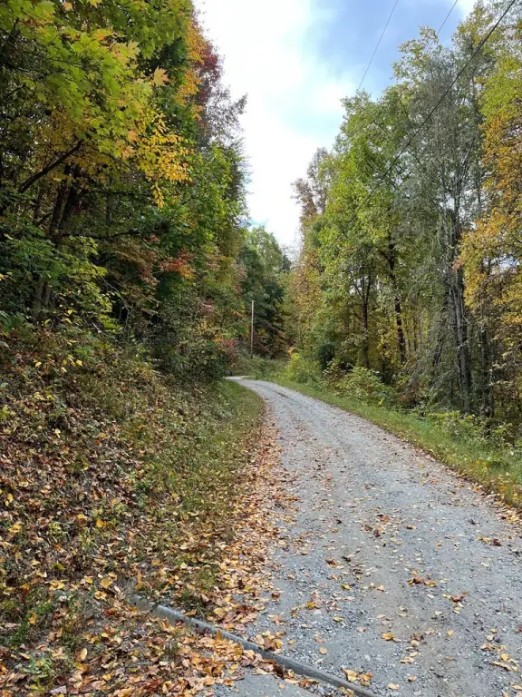 Picture 20