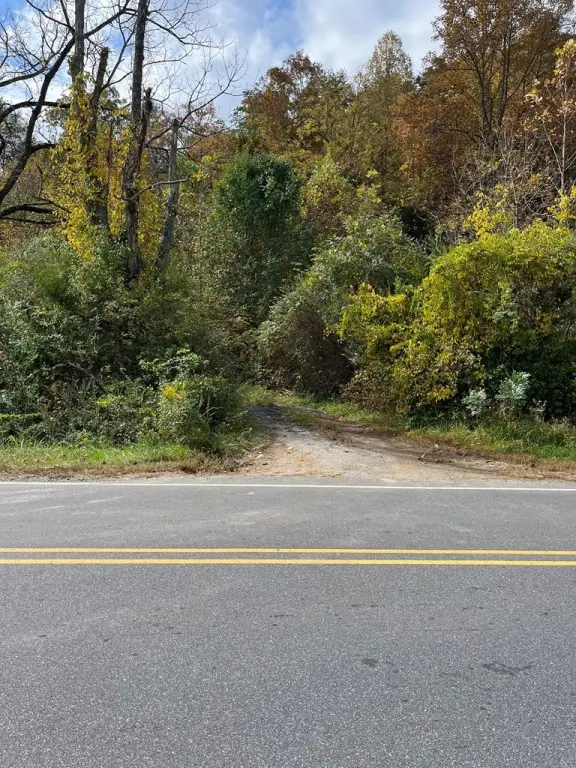Picture 18