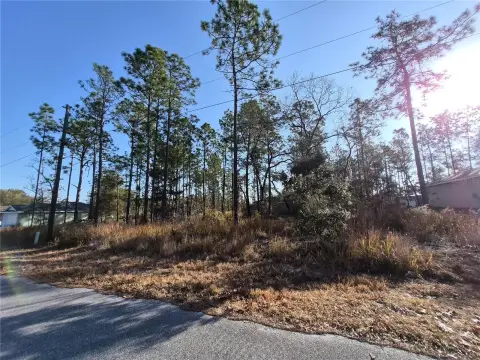 Residential Lot in Silver Springs