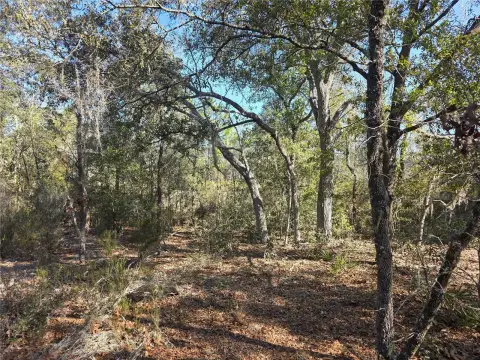 Wooded Lot in Quiet Setting