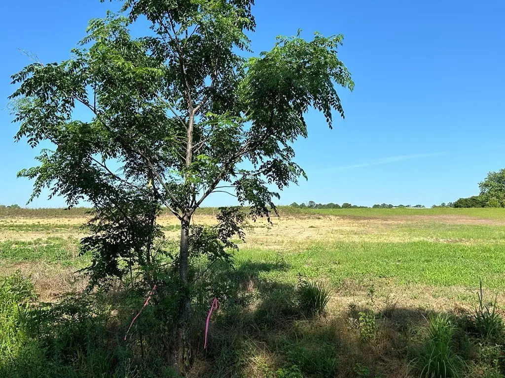 Picture 36
