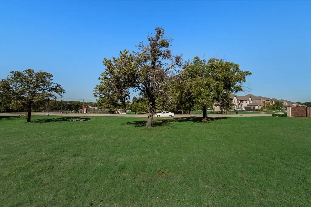Picture 20