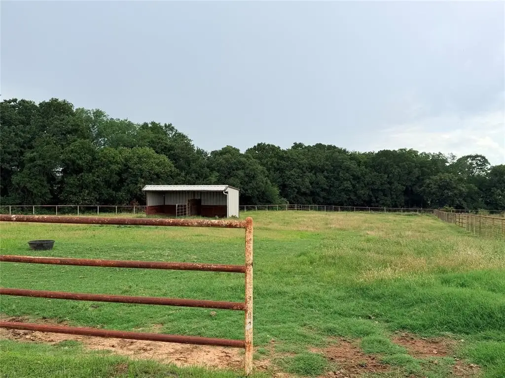 Picture 4