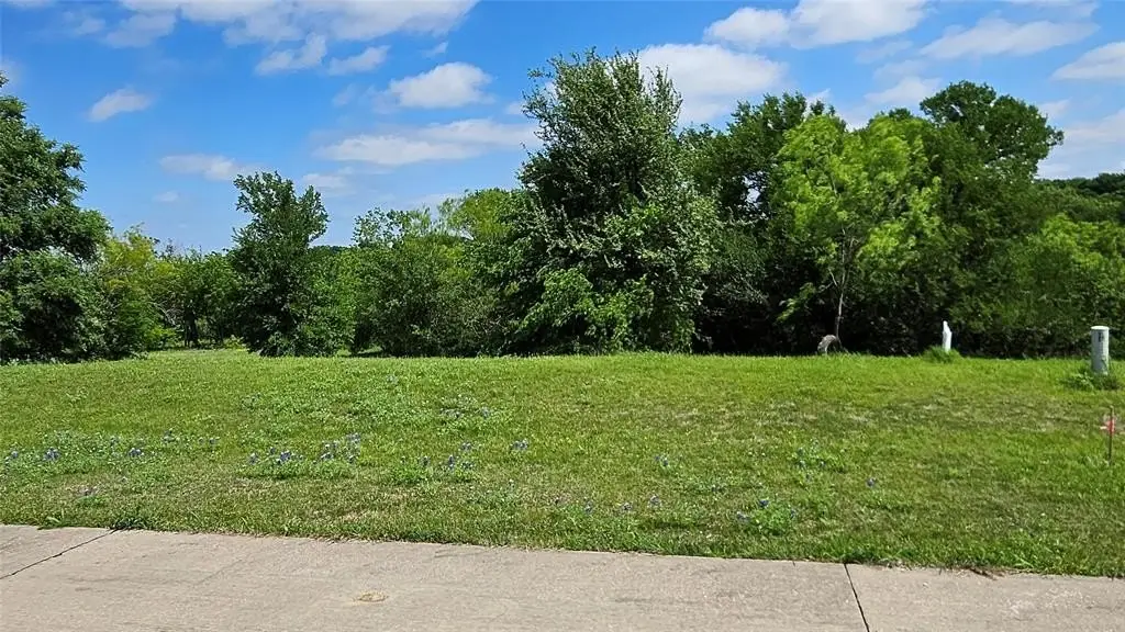Picture 6