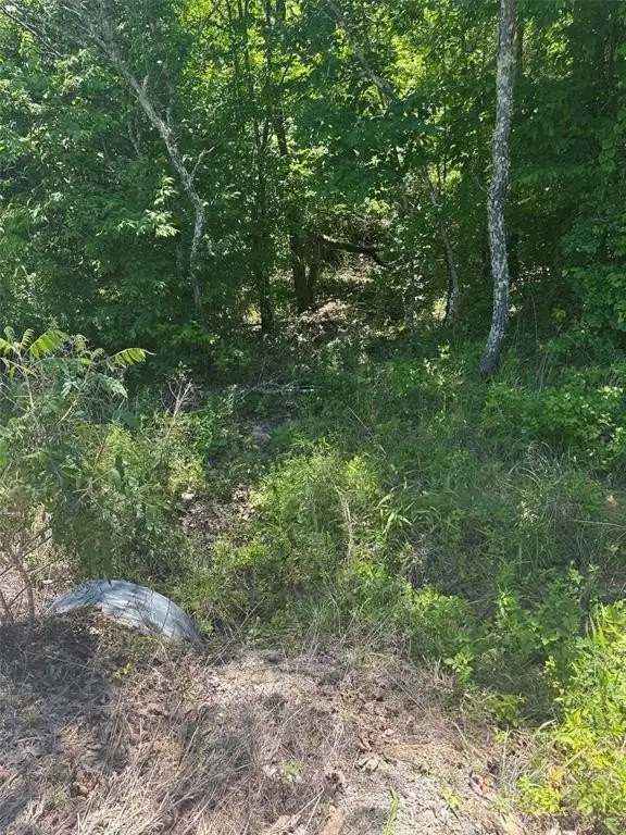 Picture 2