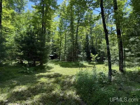 33 Acres Wooded Recreational Land