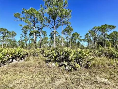 Land in Punta Gorda, FL